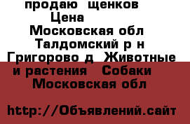 продаю  щенков   › Цена ­ 5 000 - Московская обл., Талдомский р-н, Григорово д. Животные и растения » Собаки   . Московская обл.